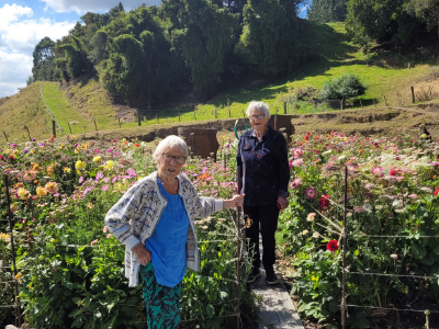 Residents visit daliah's