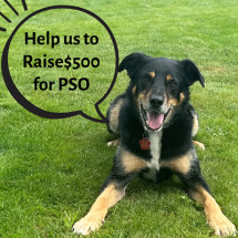 Help Raise$500